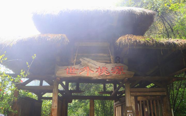 野餐女孩救援